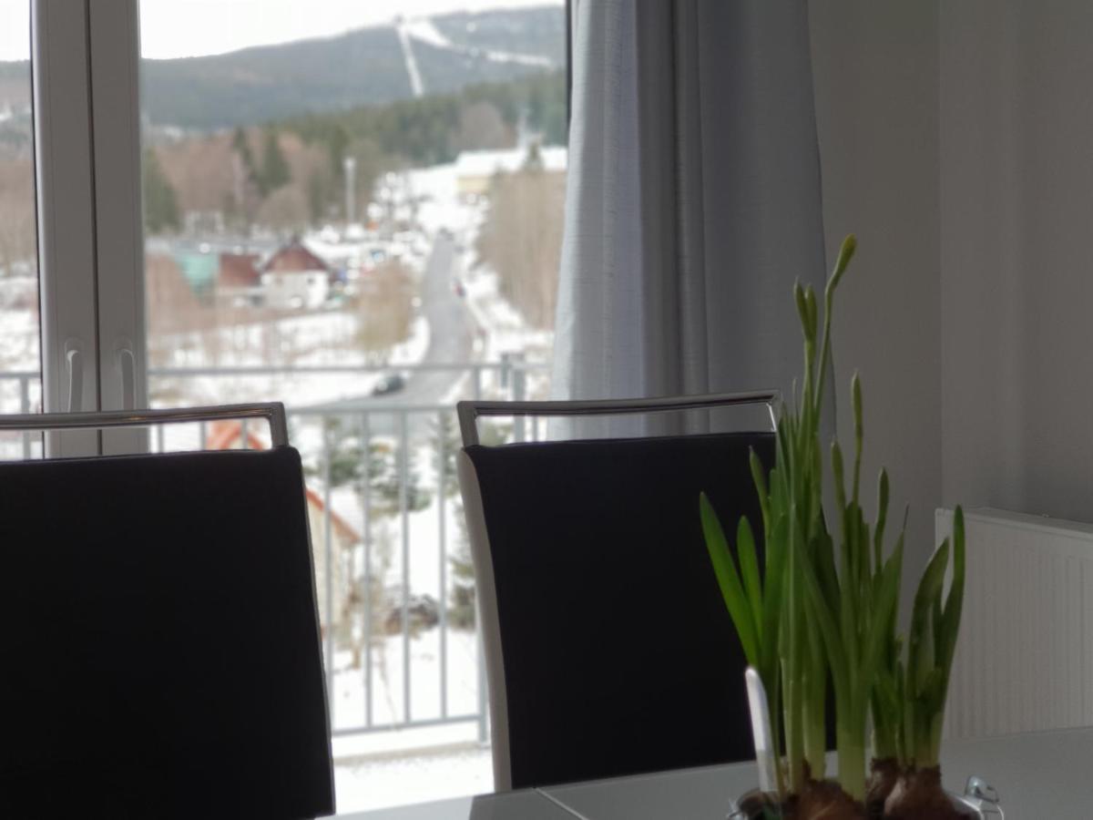 Vera Apartment Swieradow-Zdroj Zakopianska 22 C M10 Екстер'єр фото